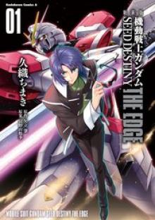 新装版 機動戦士ガンダムSEED DESTINY THE EDGE