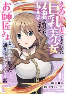 えろいことするために巨乳美少女奴隷を買ったはずが、お師匠さまと慕われて思った通りにいかなくなる話