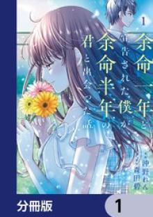 余命一年と宣告された僕が、余命半年の君と出会った話