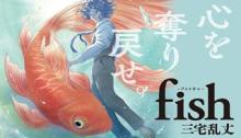 fish – フィッシュ