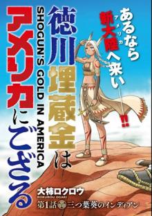 徳川埋蔵金はアメリカにござる