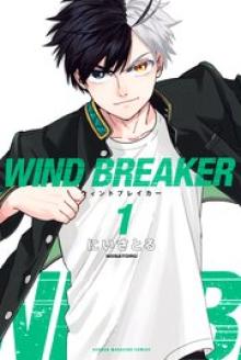 ＷＩＮＤ　ＢＲＥＡＫＥＲ