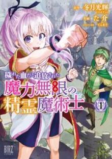 穢れた血だと追放された魔力無限の精霊魔術士