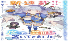 魔法は異世界に置いてきました。～天才魔導士だった妹のよわくてニューゲーム～