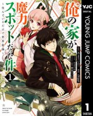 俺の家が魔力スポットだった件 ～住んでいるだけで世界最強～