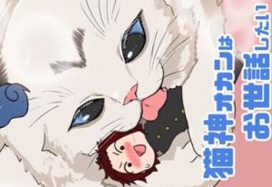 猫神オカンはお世話したい