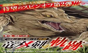 竜双剣の軌跡