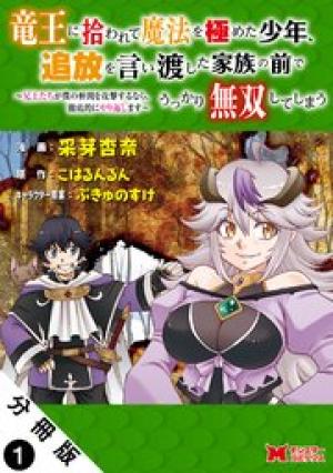 竜王に拾われて魔法を極めた少年、追放を言い渡した家族の前でうっかり無双してしまう~兄上たちが僕の仲間を攻撃するなら、徹底的にやり返します~