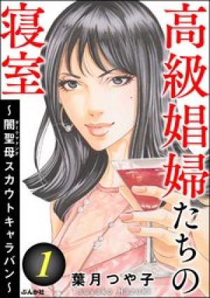高級娼婦たちの寝室 ~闇聖母スカウトキャラバン~