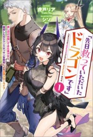 「先日救っていただいたドラゴンです」~押しかけ女房してきた美少女と、隠居した元Sランクオッサン冒険者による辺境スローライフ~